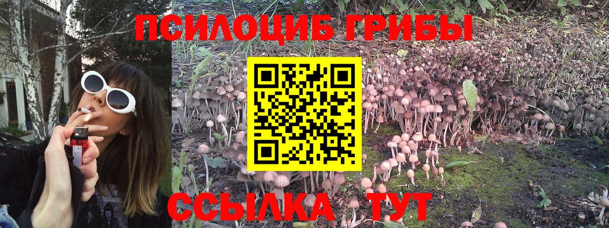 Гусиноозёрск  Галлюциногенные грибы Cubensis  Вход с VPN  Галлюциногенные грибы прущие грибы 