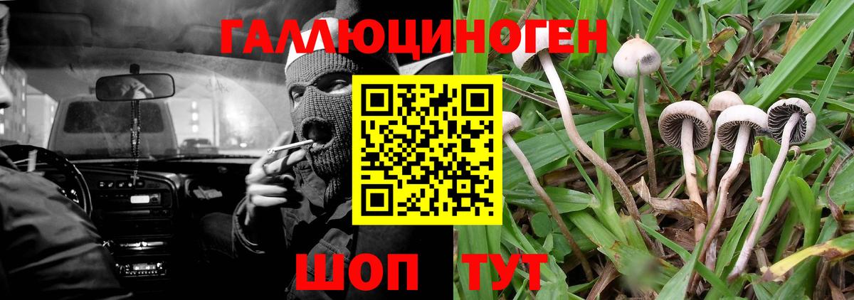 Псилоцибиновые грибы ЛСД Гусиноозёрск